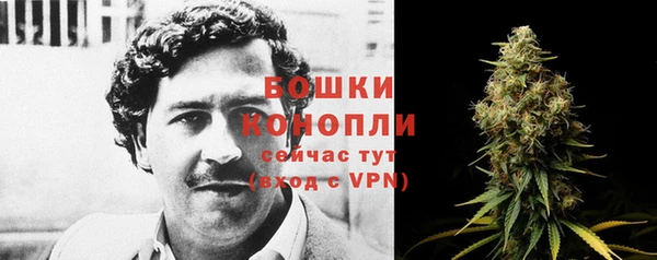 стафф Билибино