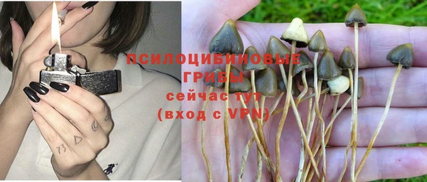 хмурый Бикин
